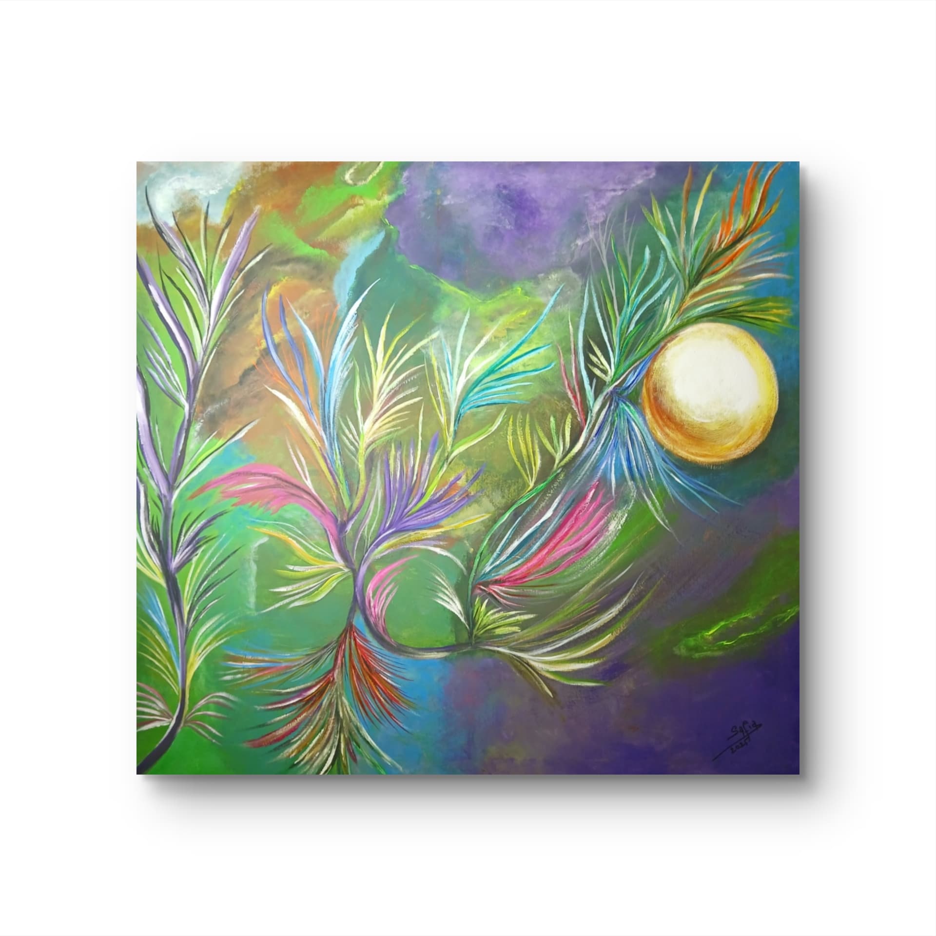 Jardin de lune — Safia